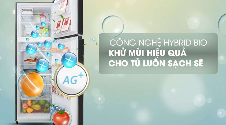 Công nghệ Ag+ Bio - Tủ lạnh Toshiba Inverter 253 lít GR-B31VU UKG